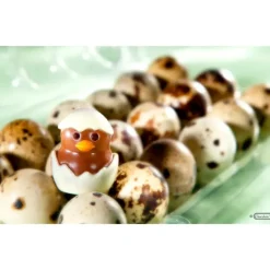 CHOCOLATE WORLD Moule Chocolat Poussin 33 mm (x12)* Moules À Chocolat