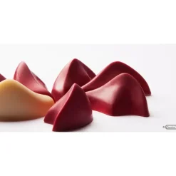 CHOCOLATE WORLD Moule Chocolat Pétale 45x31 mm (x21)* Moules À Chocolat