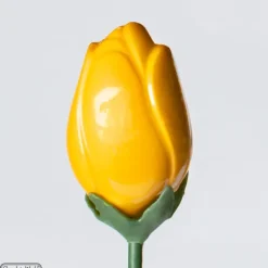 CHOCOLATE WORLD Moule Chocolat Tulipe 12 Cavités* Moules À Chocolat