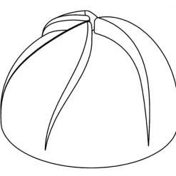 PAVOFLEX Moule Silicone Dôme Vertigo Ø 7 cm x H 4,4 cm (x24)* Moule Silicone