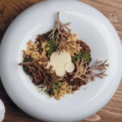 PAVONI Moule Silicone Gourmand Bois 7,8 x 4,8 x H 0,2 cm (x10)* Moule Silicone