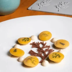 PAVONI Moule Silicone Gourmand Bois 7,8 x 4,8 x H 0,2 cm (x10)* Moule Silicone