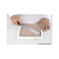 SILIKOMART Moule Silicone Insert 12 Carrés 26 cm Professional* Moule Silicone