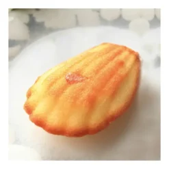 PAVOFLEX Moule Silicone Madeleine 7,8 x 4,5 cm x H 1,8 cm (x44)* Moule Silicone|Moules À Gâteaux