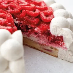 PAVONI Moule Silicone Nuage 18 cm x H 6,5 cm Cédric Grolet* Moule Silicone