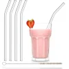 CUISINEADDICT Paille Réutilisable en Verre 23cm courbée x4 HALM* Accessoires Bar