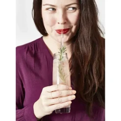 CUISINEADDICT Paille Réutilisable en Verre 23cm droite x4 HALM* Accessoires Bar