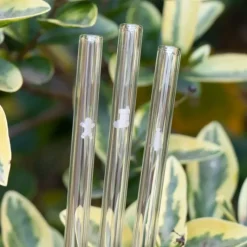 CUISINEADDICT Paille Réutilisable en Verre Noël 20cm droite x6 HALM* Accessoires Bar