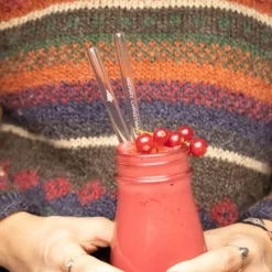 CUISINEADDICT Paille Réutilisable en Verre Noël 20cm droite x6 HALM* Accessoires Bar