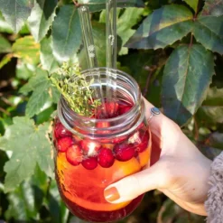 CUISINEADDICT Paille Réutilisable en Verre Noël 20cm droite x6 HALM* Accessoires Bar