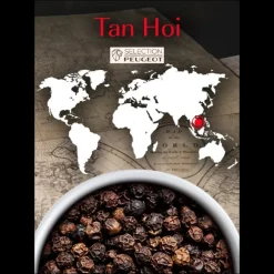 PEUGEOT Poivre Noir du Vietnam Tan Hoi Sachet 20 g (x7)* Moulin|Poivre