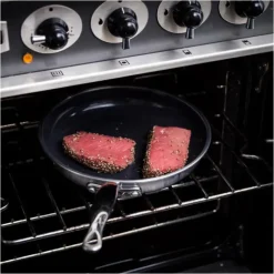 GREENPAN Poêle à Frire Inox Ø 20 cm PREMIERE* Poêles