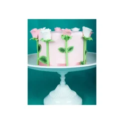 FUNCAKES Poudre comestible Vert houx 1,2 g* Colorants Alimentaires