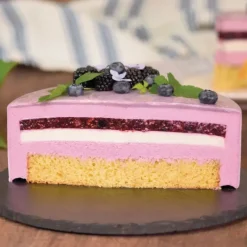 PATISDECOR Préparation Bavarois Gel Fruits des Bois 100 g Patisdécor* Préparation Pâtisserie