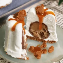 PATISDECOR Préparation Bavarois Neutre 100 g Patisdécor* Préparation Pâtisserie