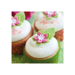 FUNCAKES Préparation pour Cupcakes Sans Gluten 500 g* Produits Sans Gluten|Préparation Pâtisserie