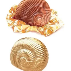 CUISINEADDICT Sachet Escargot Chocolat au Lait Praliné 1 Kg Lanvin* Chocolats À Offrir