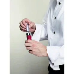 ISI Siphon Inox 25 cl GOURMET WHIP* Siphons & Cartouches