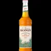 MONIN Sirop Agave 70 cl* Jus, Sirops