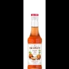 MONIN Sirop Citrouille Epicée 25 cl* Jus, Sirops