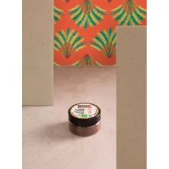 NOROHY Vanille en Poudre Bio 10 g* Arômes Alimentaires|Gousse De Vanille